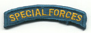 U.S. Army Special Forces tab
